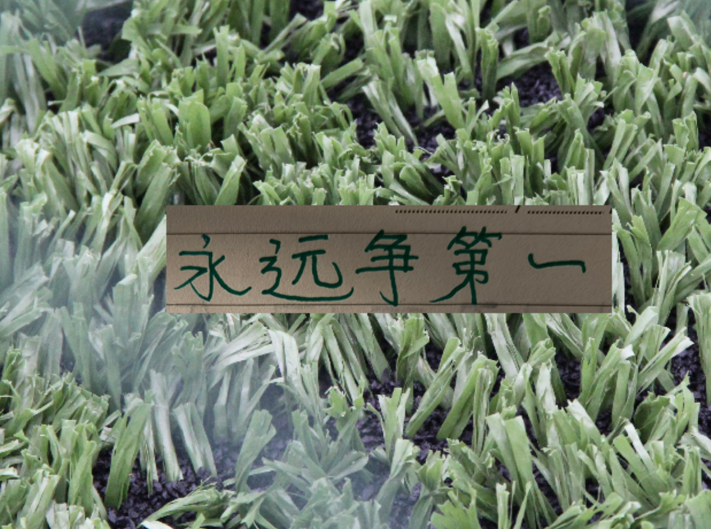 电竞比分-连续收割3个中超冠军！再加第一跑男